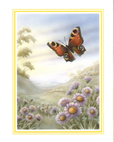 Butterflies 3 - 035